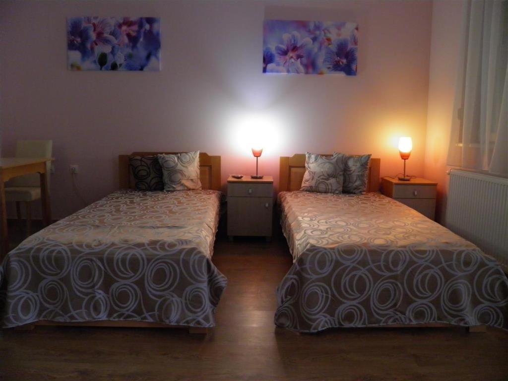 B&B Zmajevo Gnezdo 021 Sremska Kamenica Zewnętrze zdjęcie