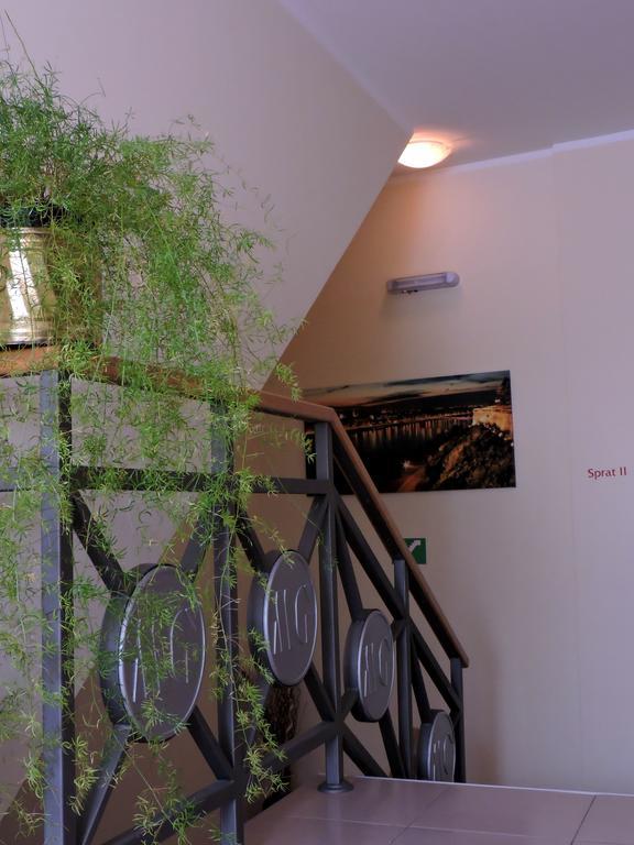B&B Zmajevo Gnezdo 021 Sremska Kamenica Zewnętrze zdjęcie