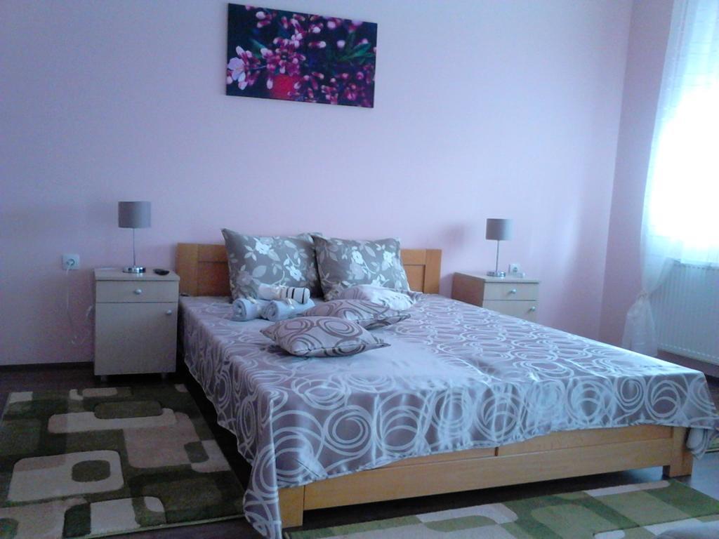 B&B Zmajevo Gnezdo 021 Sremska Kamenica Zewnętrze zdjęcie