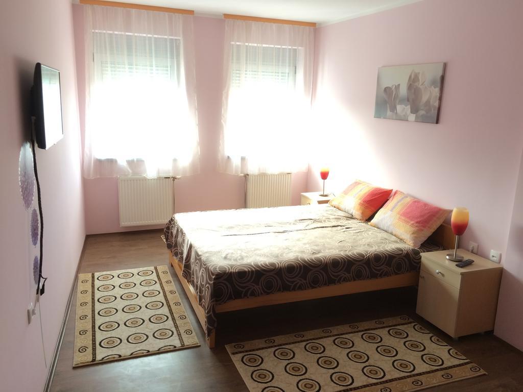 B&B Zmajevo Gnezdo 021 Sremska Kamenica Zewnętrze zdjęcie