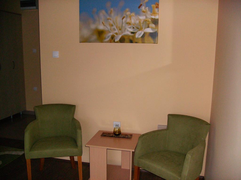 B&B Zmajevo Gnezdo 021 Sremska Kamenica Zewnętrze zdjęcie
